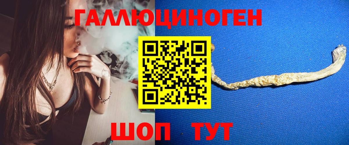 Клин  Галлюциногенные грибы Psilocybine cubensis  Вход с VPN 